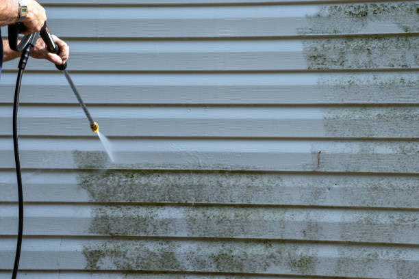 Best Fascia and Soffit Installation  in Lake Montezuma, AZ
